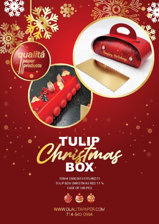 Tulio Christmas Box Flyer